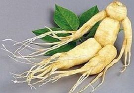 Root ginseng για την έγχυση